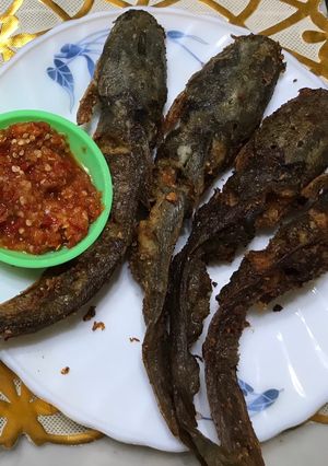 Foto resep Lele goreng bumbu kuning gurih