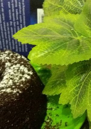 Foto resep Choco cake no telur
