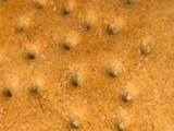Focaccia integrale