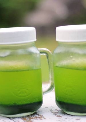 Foto resep Endapan Pandan