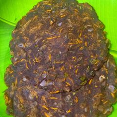 A picture of Ragi masala roti.