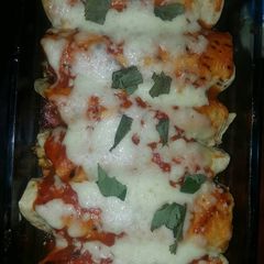 A picture of Cheese and chicken tortilla.
