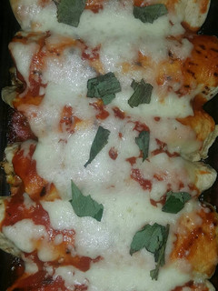 A picture of Cheese and chicken tortilla.
