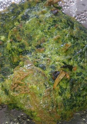 Foto resep Telur dadar daun kelor