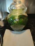 Homemade Fermented Pickles with Saffron 2023