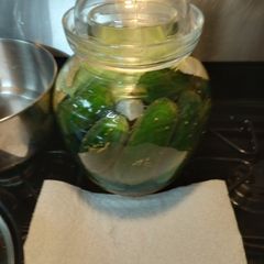 A picture of Homemade Fermented Pickles with Saffron 2023.