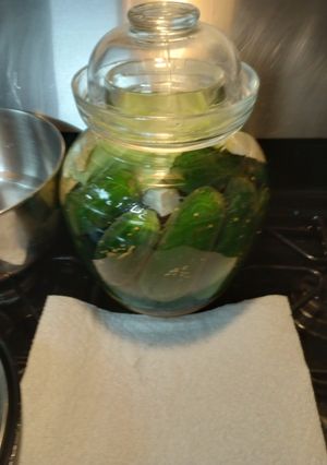 A picture of Homemade Fermented Pickles with Saffron 2023.