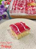 Orman Meyveli Trileçe (Tres Leches with Forest Fruits)