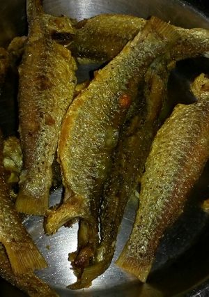 A picture of Parshey Fish fry.