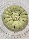 240. Puding Matcha Creamy