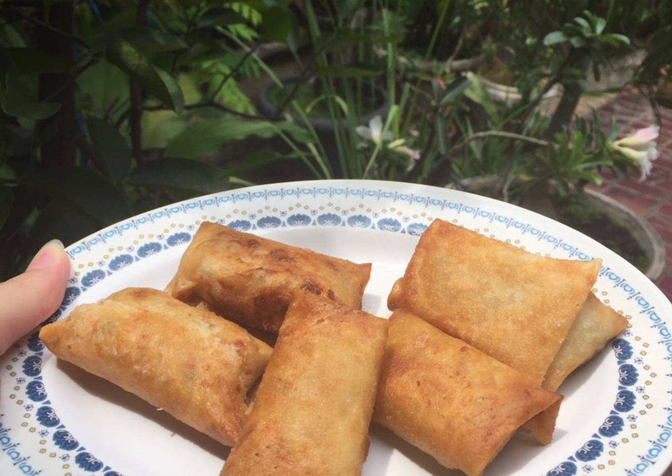 Lumpia kampung (isi tahu dan ebi)