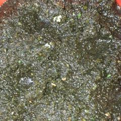 A picture of Dhaniye Podine ki chutney.