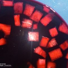 A picture of Fruity zobo.