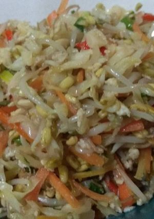 Foto resep Orak arik telur kecambah wortel (isian lumpia / tahu isi)