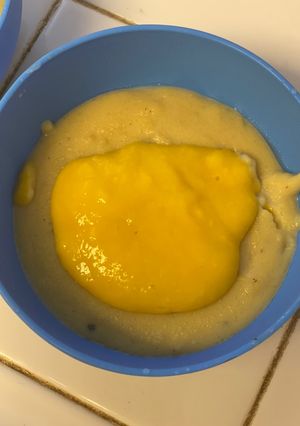 A picture of Mango Phirni.