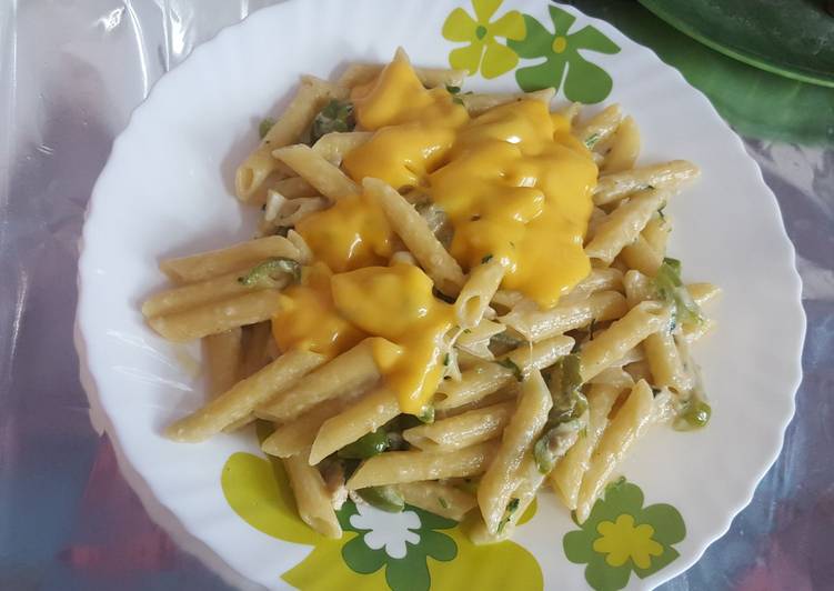 Penne cheese pasta