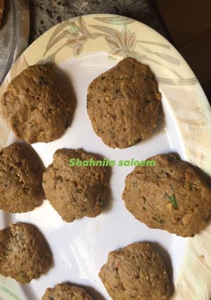 A picture of Shami kabab.