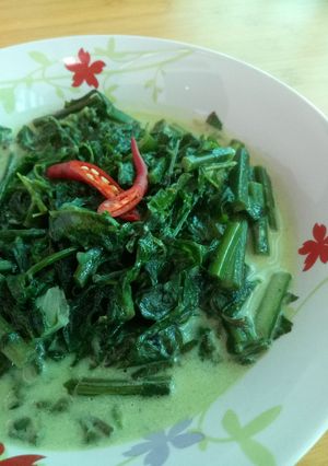 Foto resep Pakis Masak Santan