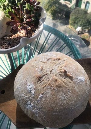 Una foto de Pan de masa madre!
