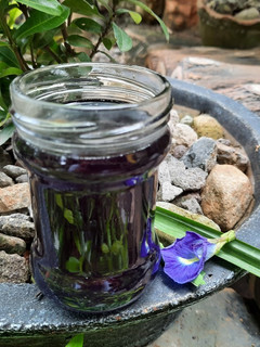 Foto resep Sirup Bunga Telang