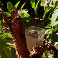 A picture of Anjeer and almonds shake 👍.