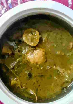A picture of Chicken Green Curry.