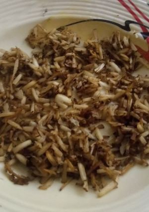 A picture of Shredded coconut.