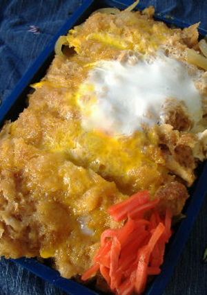 A picture of Katsudon with Mentsuyu.