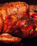 Pavo Thanksgiving