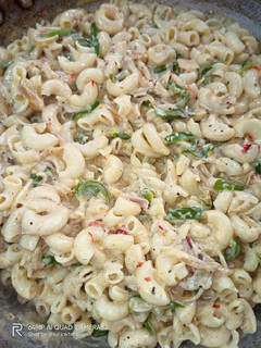 A picture of White sauce macaroni.