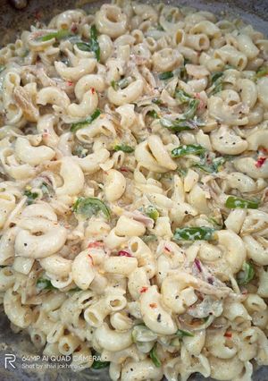 A picture of White sauce macaroni.