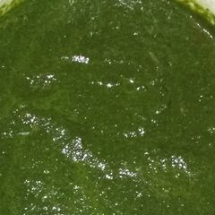 A picture of Pudina dhaniya ki chutney.