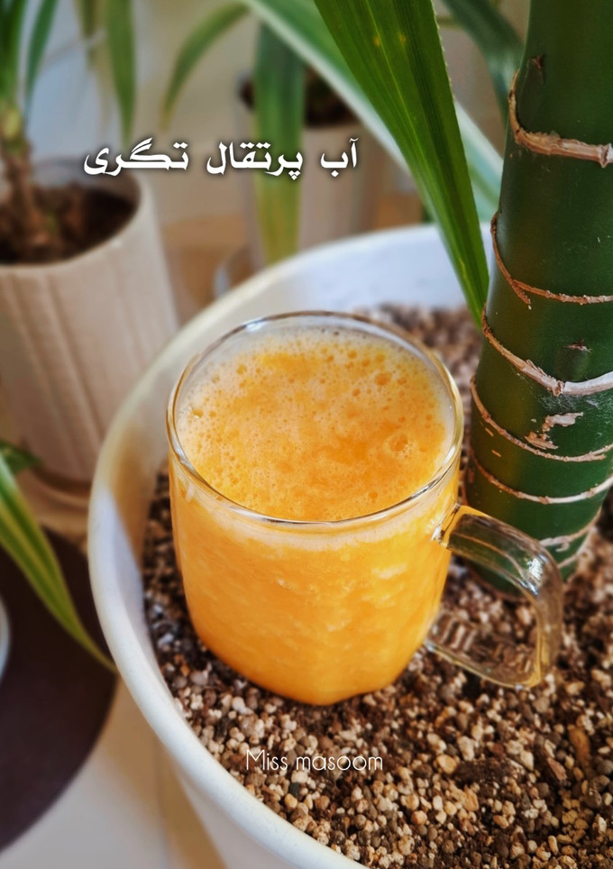 عکسی از دستور آب پرتقال تگری