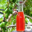 Sirup belimbing wuluh