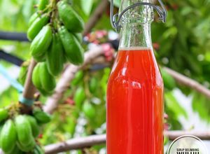 Foto resep Sirup belimbing wuluh