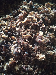 Foto resep Abon tongkol