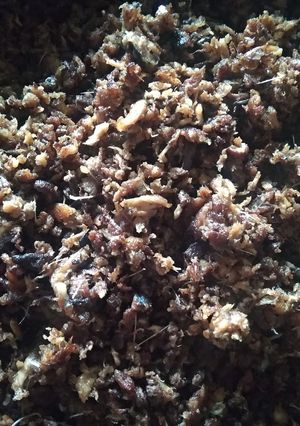 Foto resep Abon tongkol