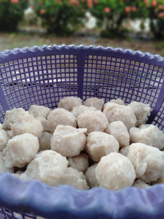 Foto resep Bakso ayam homemade (pentol ayam)