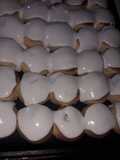 Pancitos dulces (pajaritos)