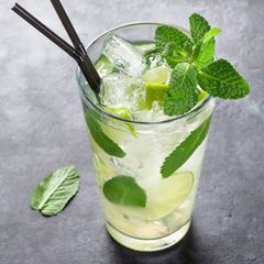 A picture of Mojito.