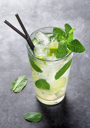 A picture of Mojito.