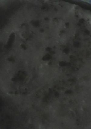 A picture of Chapati.