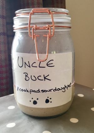 A picture of Buckwheat Sourdough Starter.