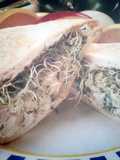 Chicken Pita Sandwiches