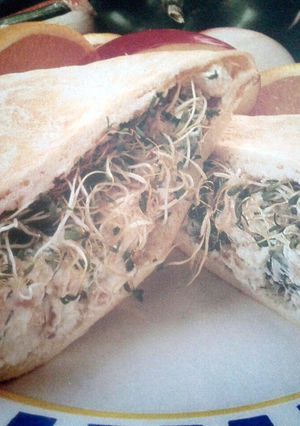A picture of Chicken Pita Sandwiches.