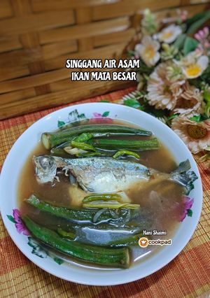 Gambar 16:9:26 - Singgang air asam ikan mata besar