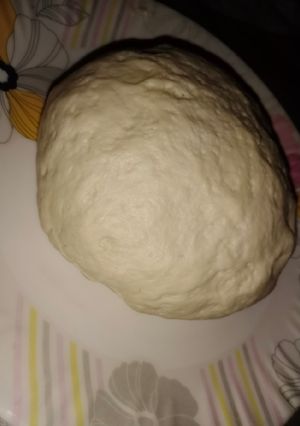 A picture of Perfect pizza dough.