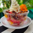 Fruit Greek Yogurt Madu