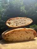 Ciabatte