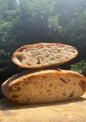 Foto di Ciabatte